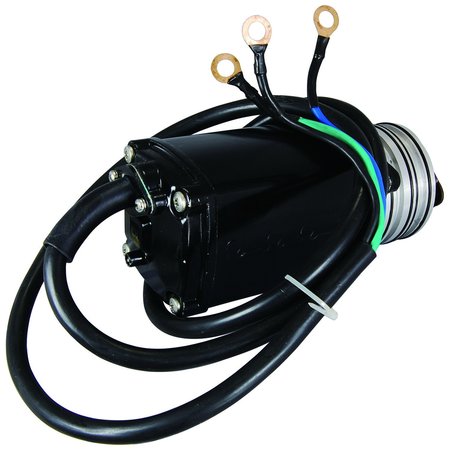 Wai Global Motor, MTRTILT TRIM 12V, 12 Volt, 3 wire connection 10858N